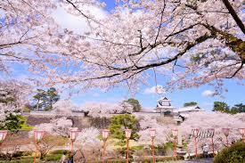 兼六園B 兼六園B