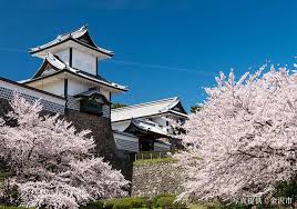 兼六園さくらしろ 兼六園さくらしろ